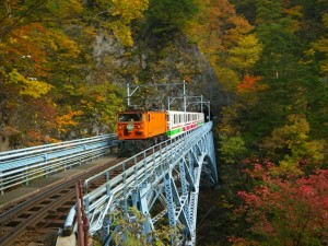 紅葉の中を走るトロッコ電車