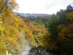 大露天風呂周辺からの景色