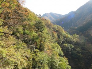 山道からの景色