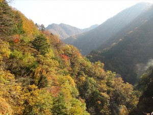 山道からの景色