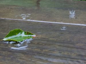 雨のクラウン