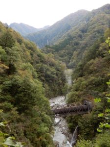 山道歩道からの景色