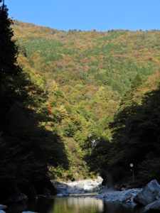 黒薙川から見た山の様子