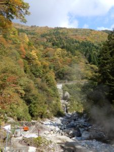 大露天風呂周辺の紅葉