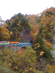 後曳橋を渡るトロッコ電車