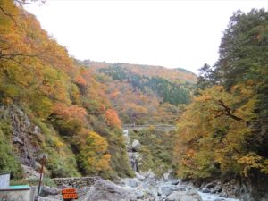 大露天風呂周辺の様子