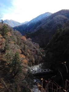 山道からの景色