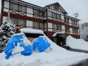 どんな雪像？