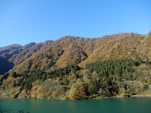 宇奈月ダム周辺の紅葉