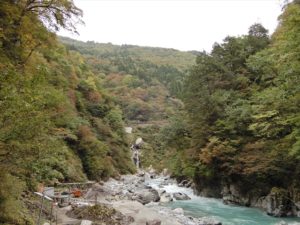 大露天風呂周辺の紅葉の様子