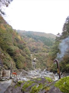 大露天風呂周辺の様子