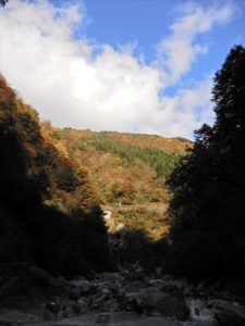 大露天風呂周辺の様子