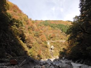 大露天風呂周辺の紅葉