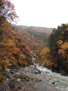 大露天風呂周辺の紅葉