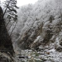雪化粧の峡谷