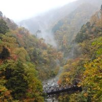 山道歩道からの景色