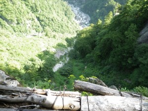 水平歩道の下