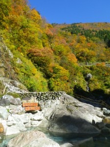 大露天風呂からの紅葉