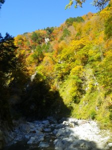 天女の湯からの紅葉