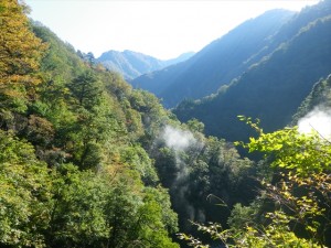 山道からの景色