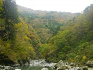 黒薙川からの景色