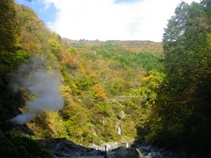 大露天風呂からの景色