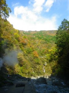 大露天風呂付近からの景色