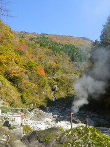 大露天風呂付近からの景色