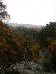 大露天風呂付近からの景色