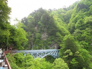 新緑の後曳橋