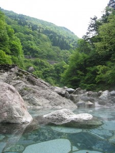 新緑の大露天風呂