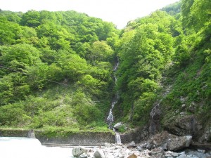 新緑の湯霧の滝