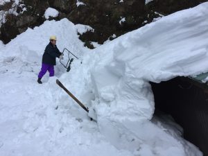 除雪中