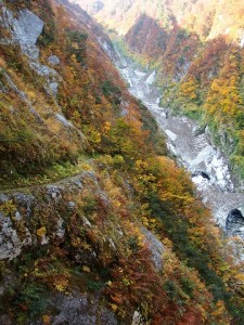 紅葉の水平歩道