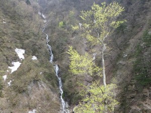 新緑と湯霧の滝