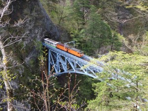 新緑の中を走るトロッコ電車