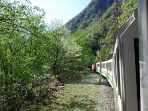 新緑の中を走るトロッコ電車