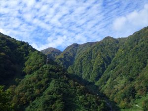 トロッコ電車から見た景色