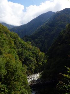 山道歩道から景色