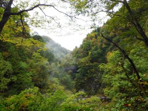 山道歩道からの景色