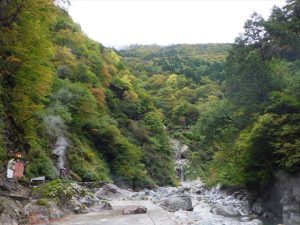 大露天風呂上流の景色