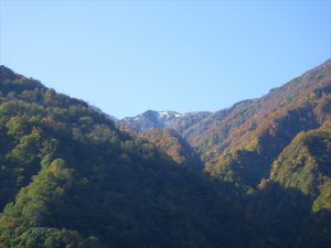 トロッコ電車から見た景色