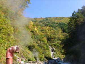 噴き出す蒸気と紅葉