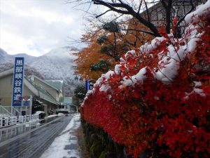 紅葉と雪