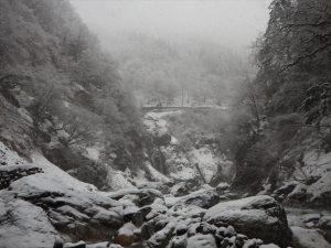 大露天風呂からの景色