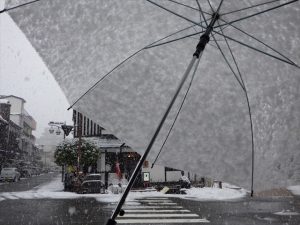 傘に積もった雪